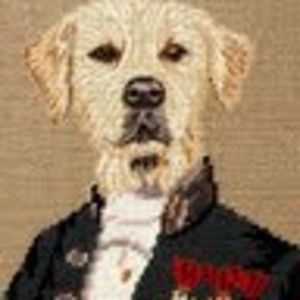 Meet your Posher, Samuel